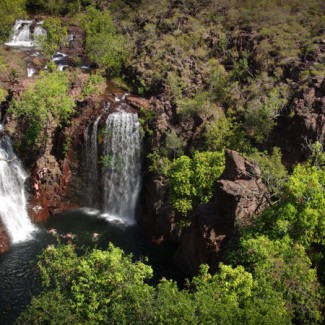 kakadu