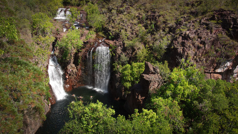 kakadu